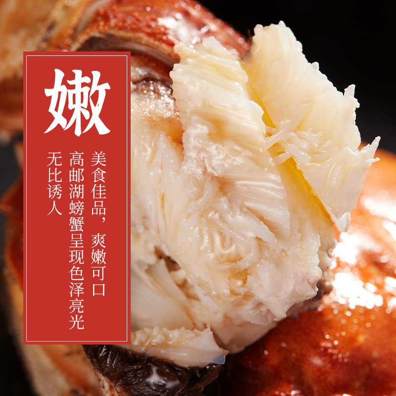 湖恩牌高邮湖大闸蟹6两公5两母特大蟹10只礼盒新鲜活螃蟹中秋送礼,淘宝优惠券,粉丝福利购,淘宝优惠卷