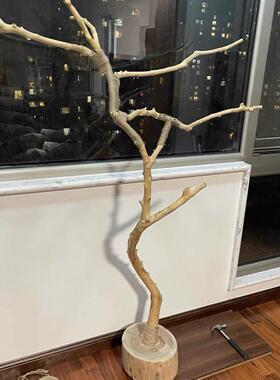 鹦鹉站架树枝干树枝杈干鸟架造型站架艺术干燥树枝枯木树悬吊式天