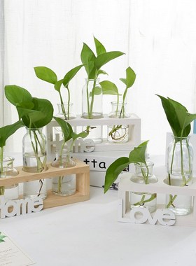 培花瓶绿萝玻璃插花容器家居餐