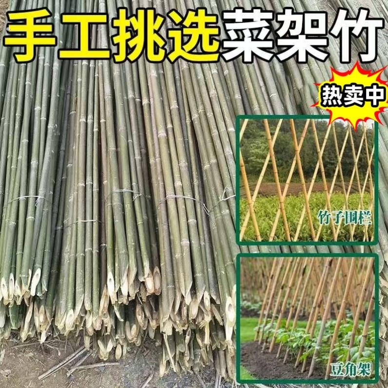 竹竿菜园搭架竹杆条3米豆角黄瓜架子小竹子竹篱笆栅栏围栏架杆棍 - 图0