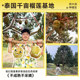 Uncle Tian Shu Ripe Golden Pillow Durian Meat SF