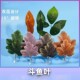 Thai fighting fish bed sleep and rest leaves fish tank landscaping supplies decoration simulation plants small fish spawning escape