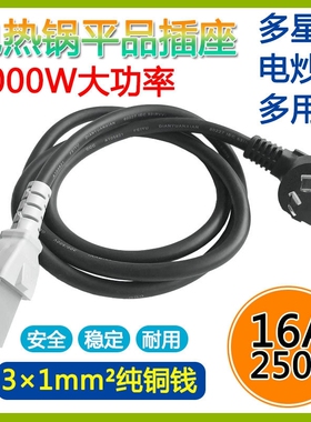 3000W多用电热锅平口电源线通用型电炒锅纯铜线三孔一字平口插头