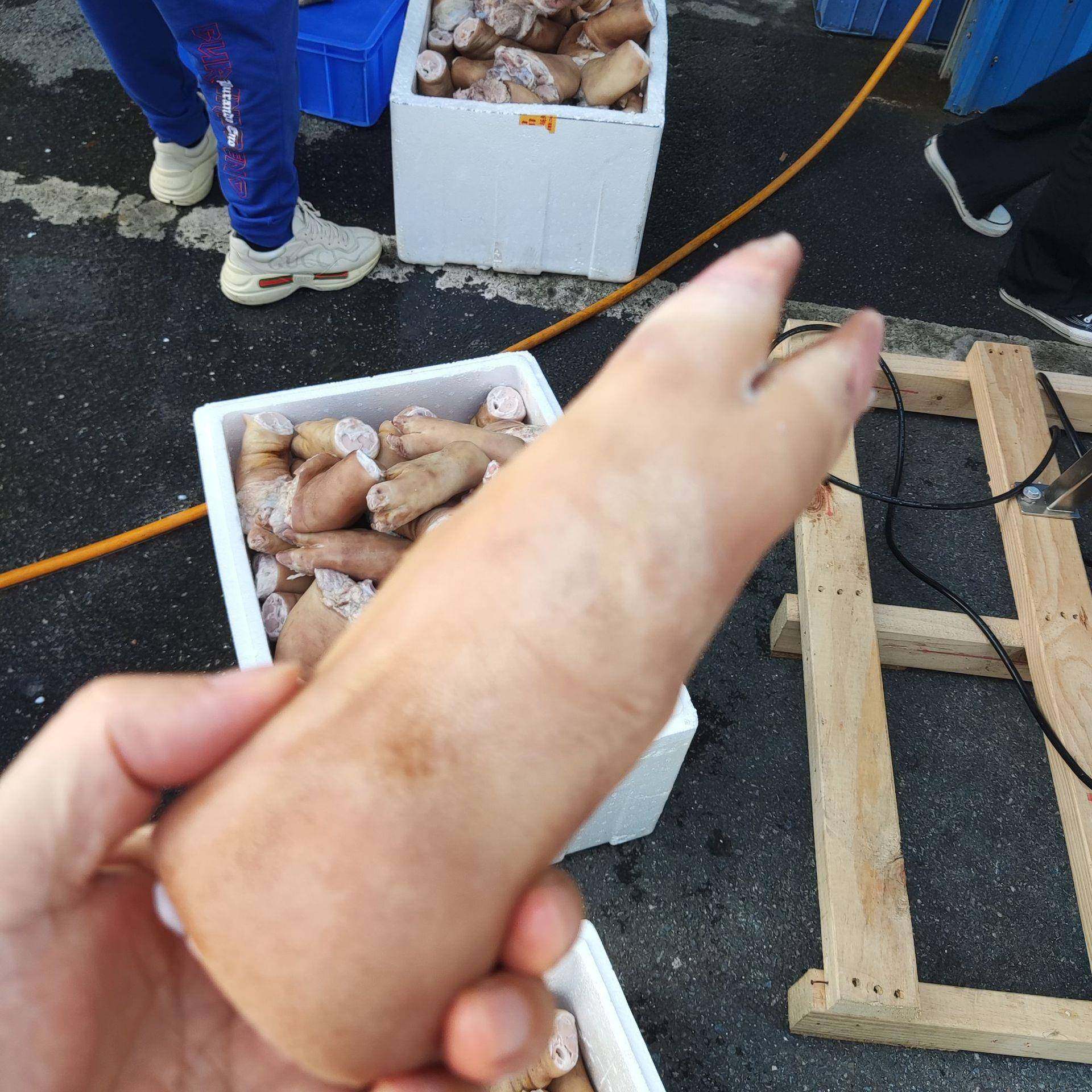 猪脚去污清洗机1800型猪肘子洗除烧毛污渍设备洗猪蹄机源头工厂,淘宝优惠券,粉丝福利购,淘宝优惠卷