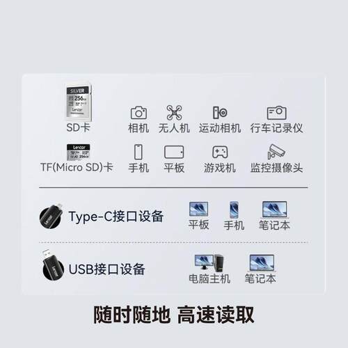 雷克沙RW310X读卡器USB3.2高速TYPE-C接口TF内存卡SD二合一支持1T - 图1