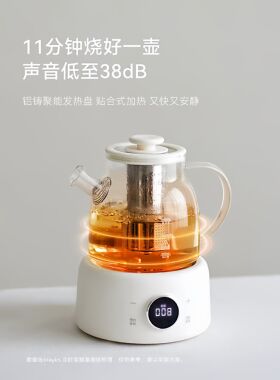 olayks立时全玻璃养生壶家用多功能办公室小型纯玻璃恒温煮茶烧水