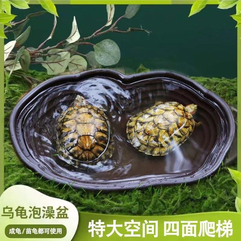 乌龟泡澡盆阶梯式黄缘龟专用塑料鱼缸半水龟陆龟爬虫宠物饲养水盆,淘宝优惠券,粉丝福利购,淘宝优惠卷