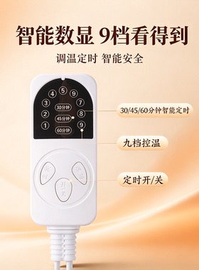 电热热敷包艾灸暖宫护腰熏蒸仪