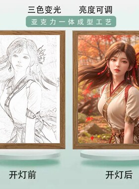 火灵儿镜子镜面灯光画完美世界ins床头创意led定制生日礼物火桑女