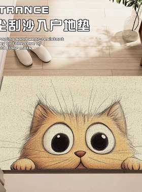 巴西进门垫脚圈地家用防滑丝土地垫垫门外入户门垫家耐脏小猫地蹭