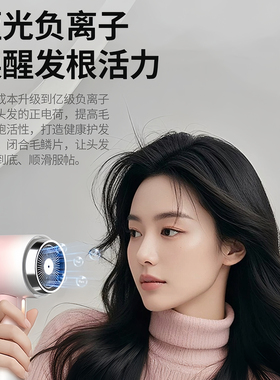 德国吹风机家用负离子护发速干