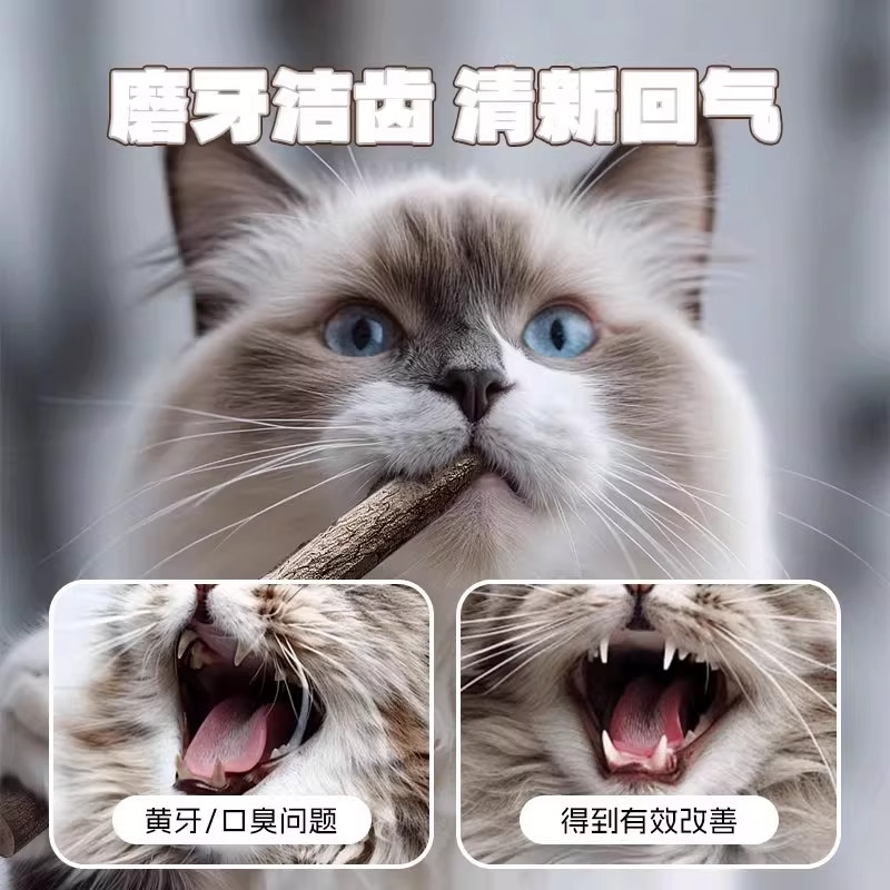 猫玩具猫零食木天蓼超长杆磨牙棒自嗨解闷磨牙逗猫棒猫咪零食用品,淘宝优惠券,粉丝福利购,淘宝优惠卷