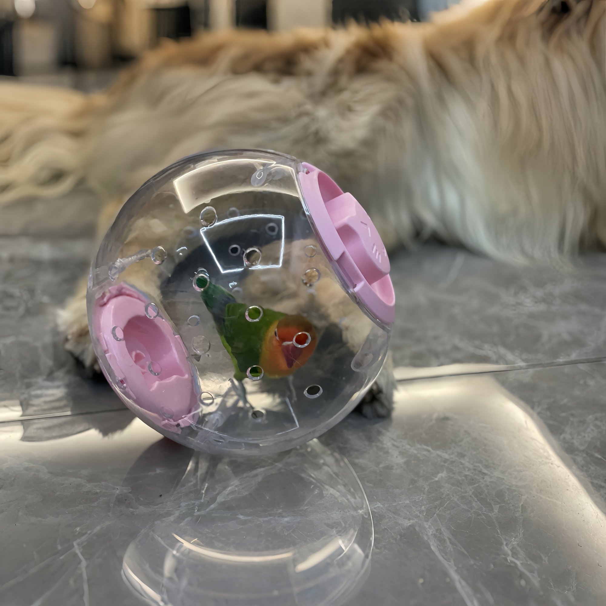 鹦鹉玩具解闷自嗨小太阳牡丹鹦鹉耐啃咬跑步运动滚球小鸟玩具新款,淘宝优惠券,粉丝福利购,淘宝优惠卷