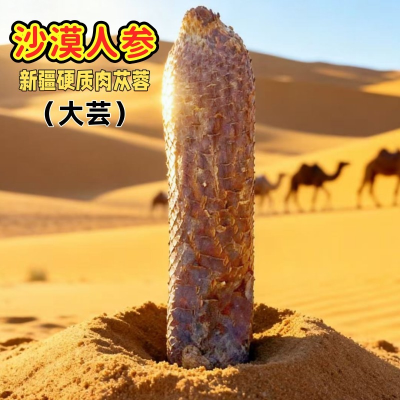 肉苁蓉沙漠人参正宗新疆和田大芸滋补养生整根硬质肉苁蓉泡酒泡茶,淘宝优惠券,粉丝福利购,淘宝优惠卷