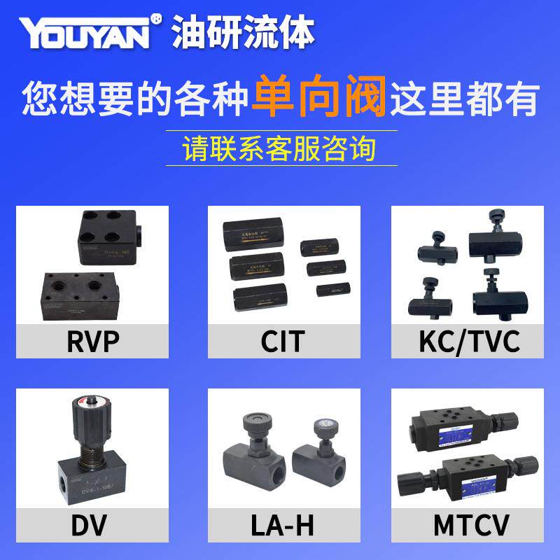 DBDH6 8 10 20 30液压DBDS6 10 20 30K直动P式G溢流阀10B/315 200 - 图2