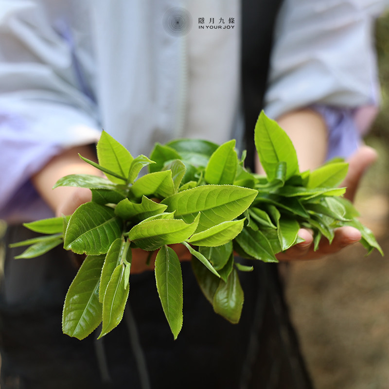 风华陈年普洱熟茶500g陈皮茶散茶正宗云南百年古树茶饮礼盒装茶叶,淘宝优惠券,粉丝福利购,淘宝优惠卷