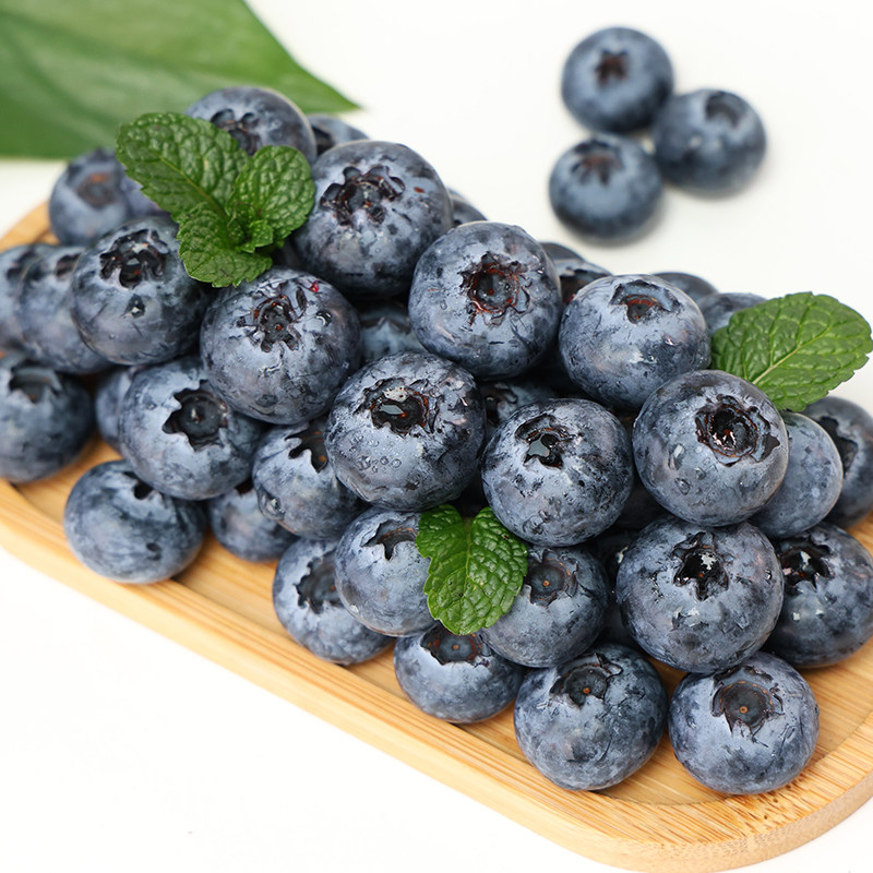 滇鲜生云南高山蓝莓当季新鲜水果浆果新鲜软糯包邮到家甄选蓝莓,淘宝优惠券,粉丝福利购,淘宝优惠卷
