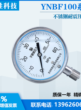 YN100BF 60MPa 全不锈钢抗震压力表 耐震不锈钢压力表 苏州轩胜