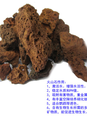 优选天然滤材麦饭石火山石珊瑚骨生蚝壳 鱼缸鱼池水族过滤材料