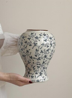 花瓶摆件b客厅插花陶瓷青花瓷水养鲜花花器复古陶罐玄关桌面装饰
