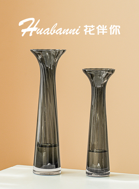 极简透明玻璃长颈小口花瓶水培