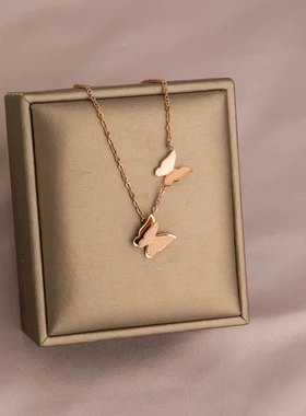 不掉色钛钢项链女2025年新款高级感小众设计轻奢网红锁骨链