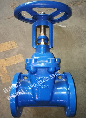 远大阀门Z41X-16Q球墨铸铁弹性座封污水dn150明杆软密封法兰闸阀