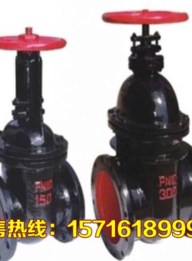 Z41T-16/10明杆法兰闸阀 铸铁铜芯闸板阀DN40 65 80 100 150 200