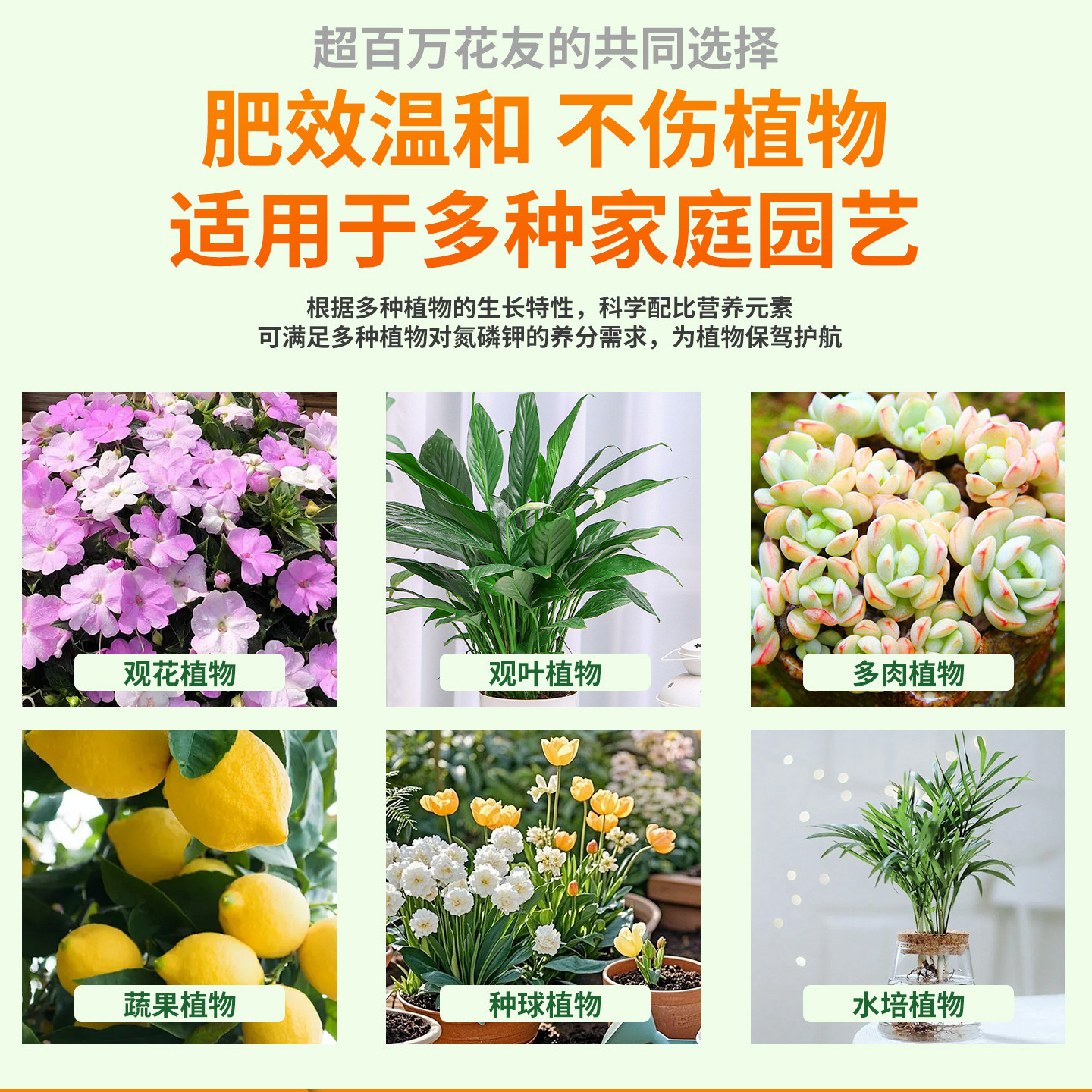 营养液植物通用型绿萝富贵竹发财树多肉水培养花卉绿植盆栽花肥料,淘宝优惠券,粉丝福利购,淘宝优惠卷