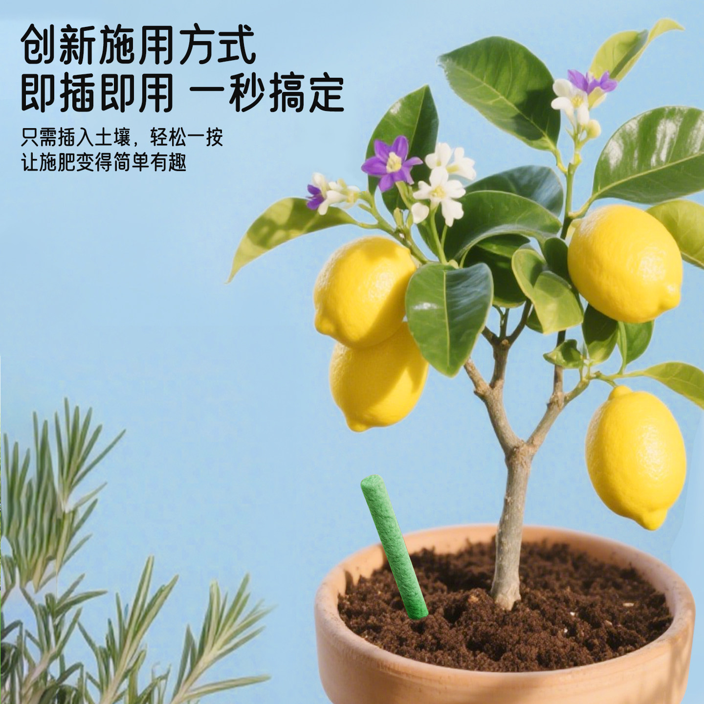 植物营养棒缓释肥家用盆栽花肥养花通用型复合花卉多肉绿植用肥料,淘宝优惠券,粉丝福利购,淘宝优惠卷