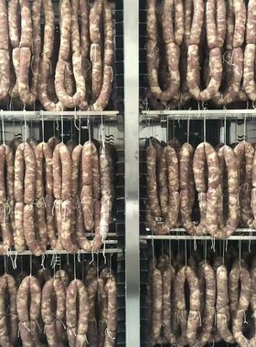 红薯水果烘干机 食品腊肠腊肉食物风干机干果机肉类脱水机箱商用
