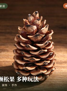华南松创意摆件拍摄道具松果画材料手工DIY干花大号松果