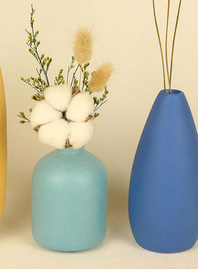 装饰品摆件家居饰品l乾燥花花瓶玄关电视柜小众工艺礼品摆饰置物