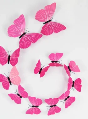 3d立体商场家居装饰仿真磁性双面胶仿真（12只套装）