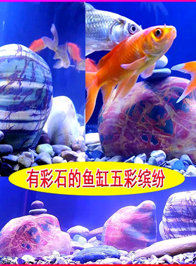 乳源七彩石奇石五彩石人工打磨鱼A缸石光滑石头装饰摆件每公斤WMZ
