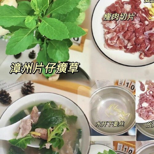 片仔癀草可食用白凤菜苗阳台庭院盆栽药材养生菜苗好种易活白当归 - 图3