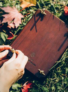 蘑菇空间植物标本夹押花器压花板植物标本制作干燥板复古实木相框