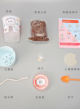 幼儿园diy手工儿童迷你种植植物小盆栽学生观察绿植种子发芽