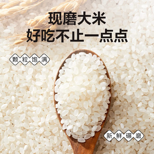 鞍粮盘锦大米500g东北新米稻蟹共生米一斤袋装产地直发 - 图2