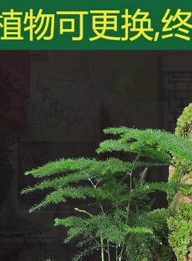 真花真草招财假山流水喷泉摆件造景植物小型鱼缸池客厅装饰品礼品