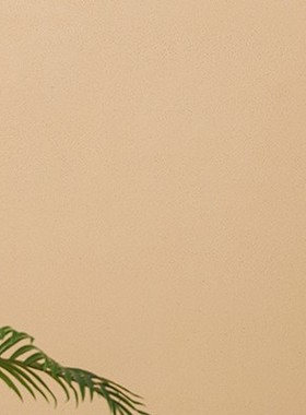 打孔碳化木板生态缸古法养鱼实木流水罐配件庭院花架鱼缸造景摆件