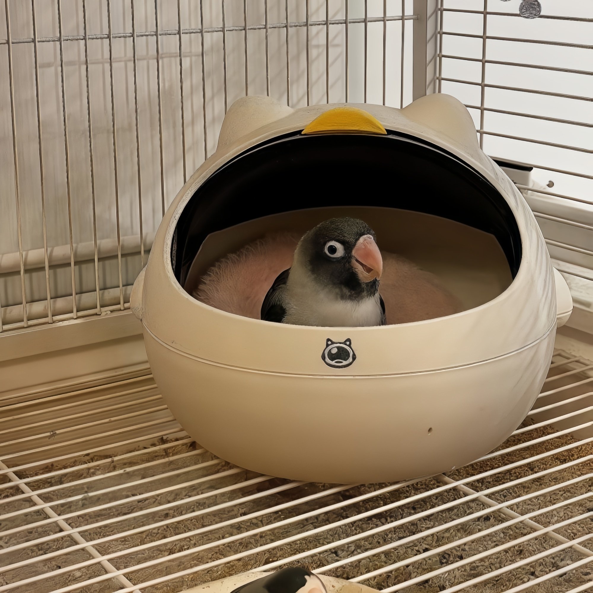 宠物鸟窝四季通用窝桌面垃圾桶高颜值迷你家用小号带盖垃圾篓ins,淘宝优惠券,粉丝福利购,淘宝优惠卷