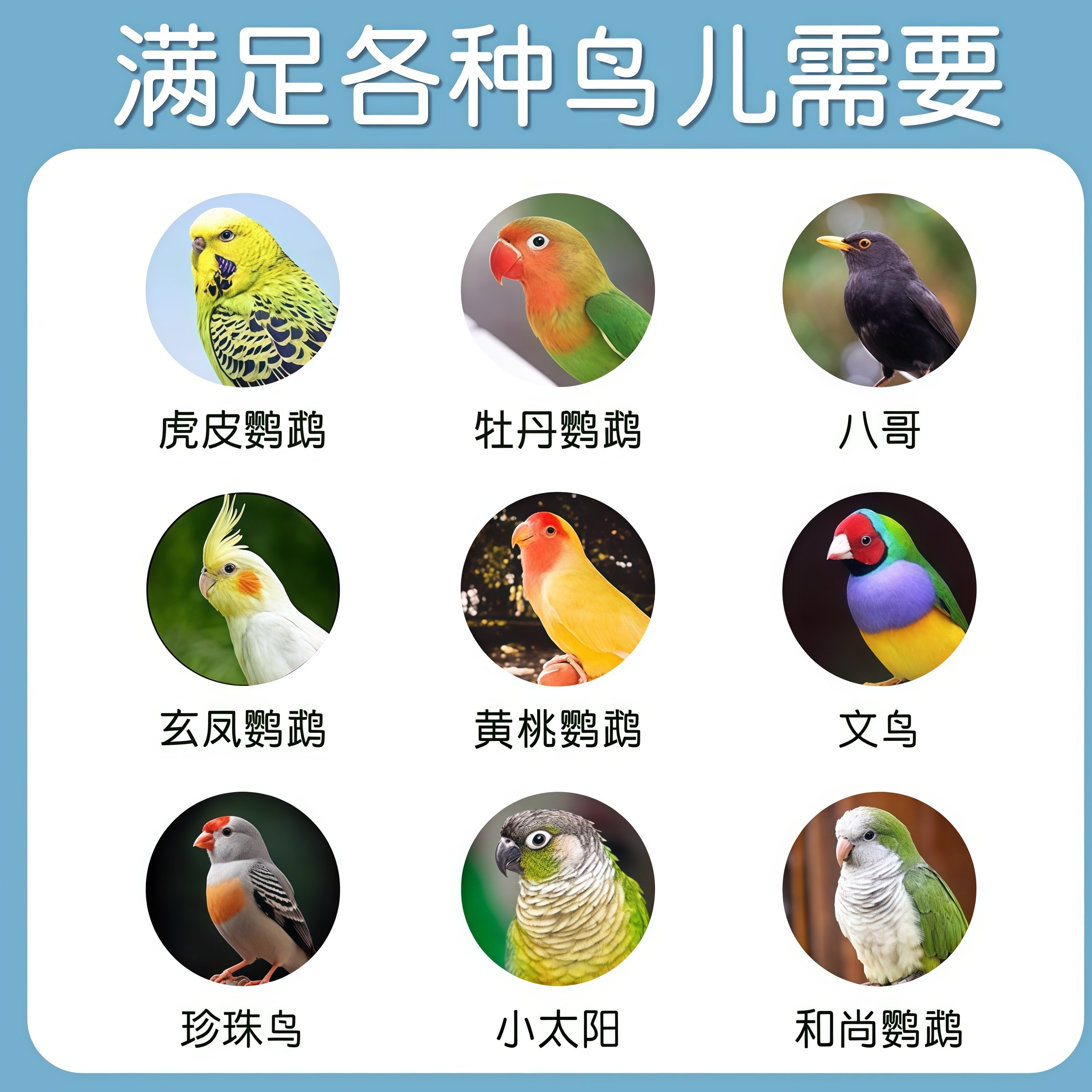 小鸟用洗澡盒透明大号沐浴盆八哥玄凤牡丹虎皮鹦鹉用品玩具洗澡器 - 图3