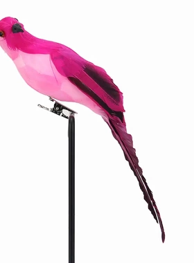 羽毛仿真金刚橱窗园艺装饰小鸟泡沫家居摆件20m艺术假鸟