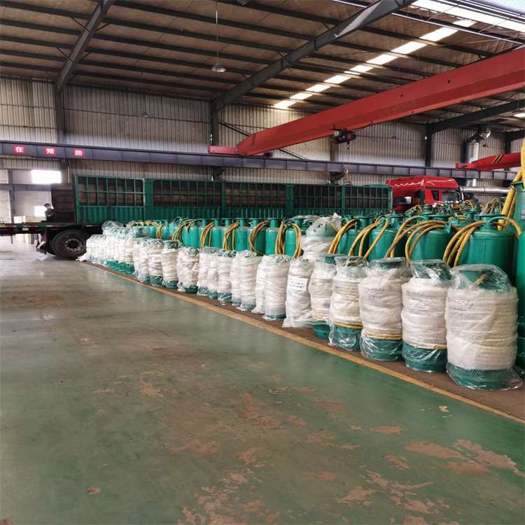 BQS20-22-3/N潜水泵 运行平衡 多级叶轮 矿用潜水排沙泵 - 图0