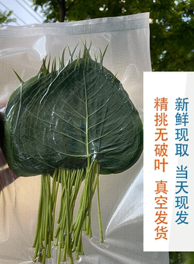 专用叶脉制作配材供应商