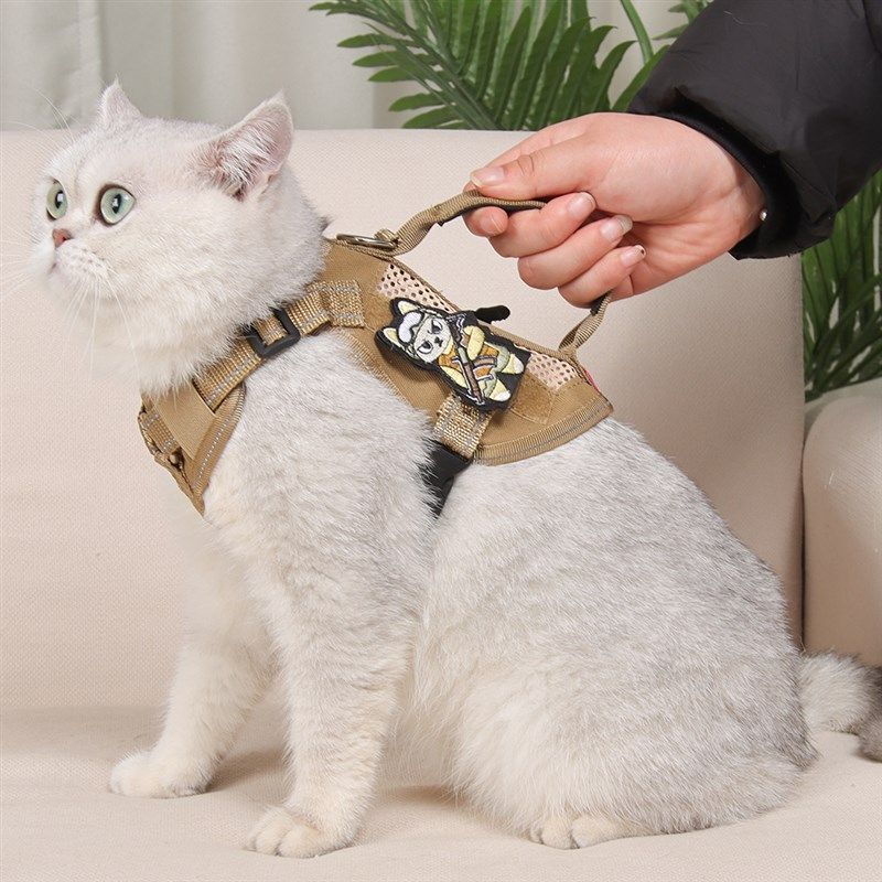 猫咪牵引绳猫外出专用防挣脱绳子宠物遛猫绳链子背心式手提胸背带,淘宝优惠券,粉丝福利购,淘宝优惠卷
