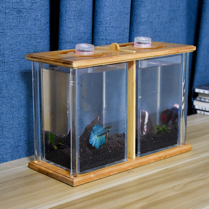 斗鱼专用缸双缸 办公室宿舍客厅桌面超白小型生态微景双格斗鱼缸,淘宝优惠券,粉丝福利购,淘宝优惠卷