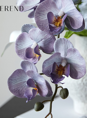 蓝风信诗插花花束结婚手捧花装饰