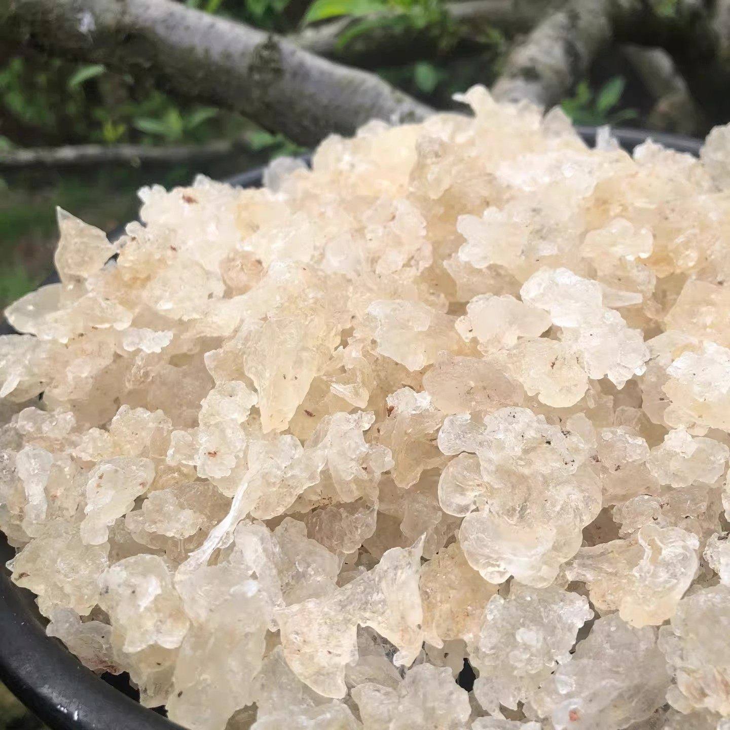 精选特级天然雪燕干货野生500g拉丝商用可搭配桃胶皂角米,淘宝优惠券,粉丝福利购,淘宝优惠卷